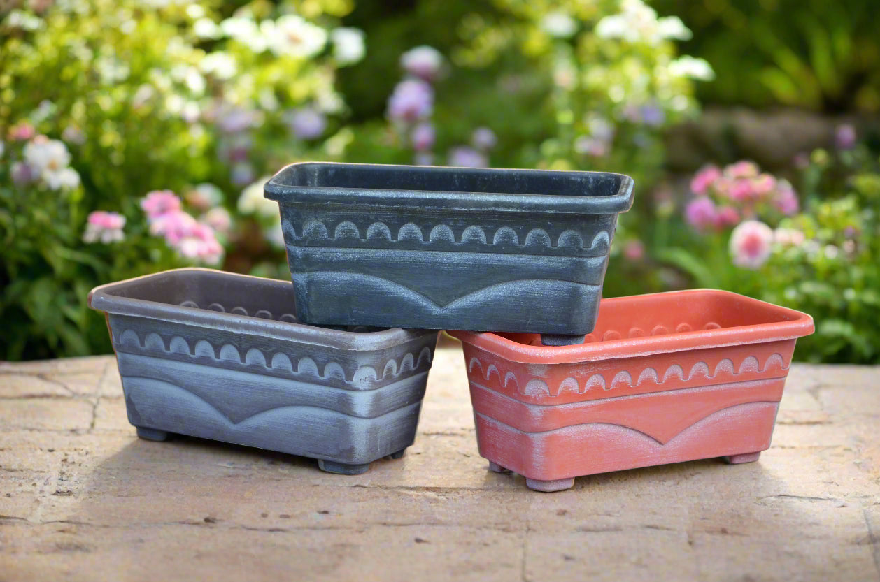Window Box