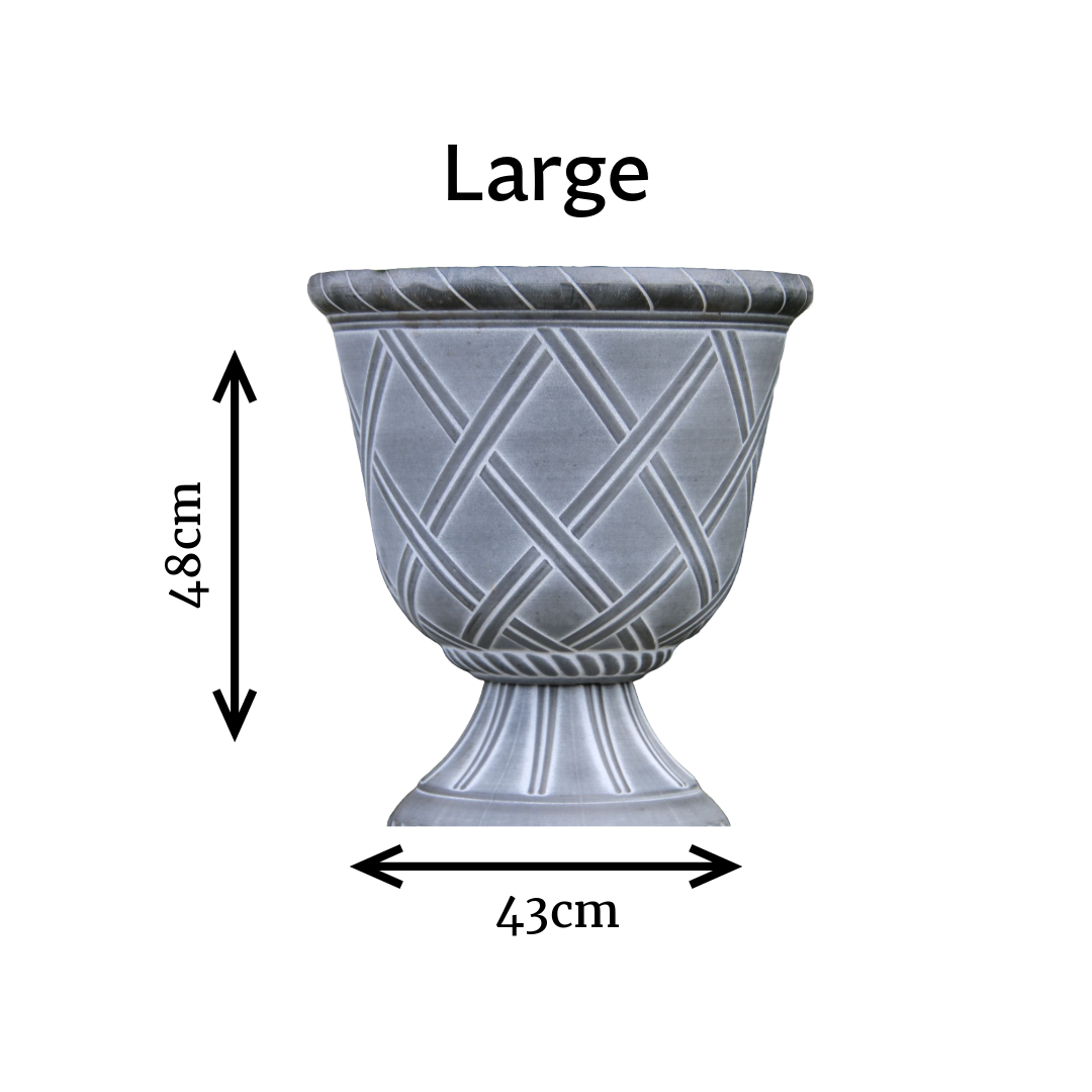 Lattice Urn