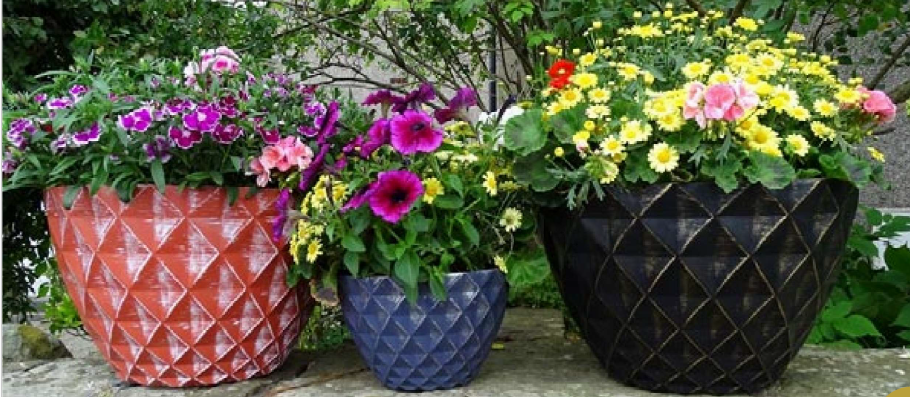 Into The Garden - July 2025