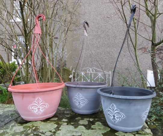 🌸 Hanging Baskets