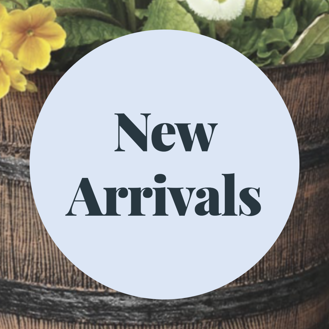 ✨ New Arrivals