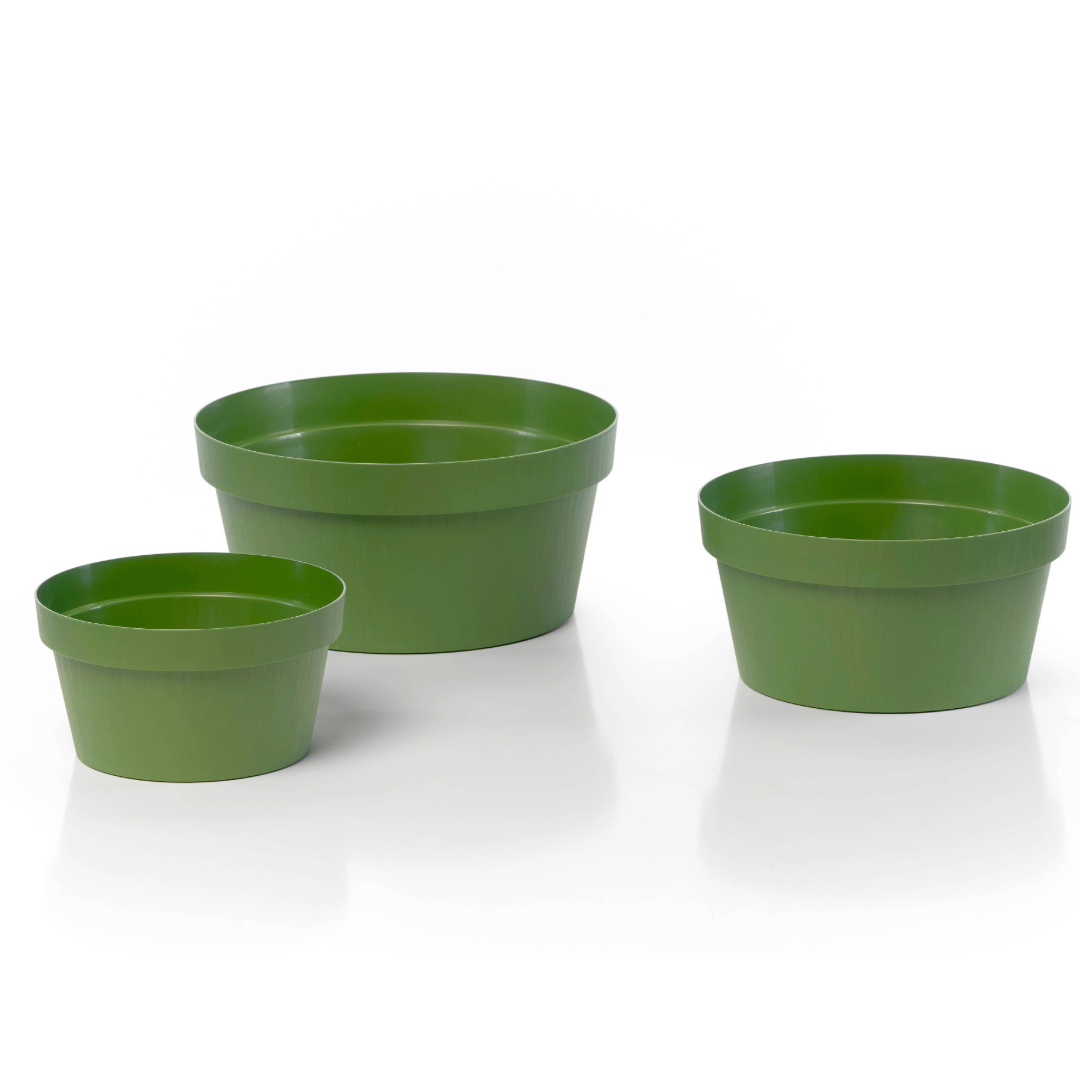 Rok - Bowl