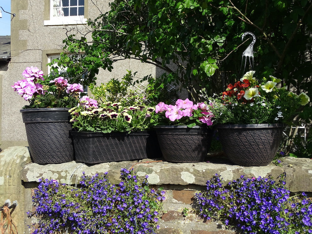 Black Rattan Planter