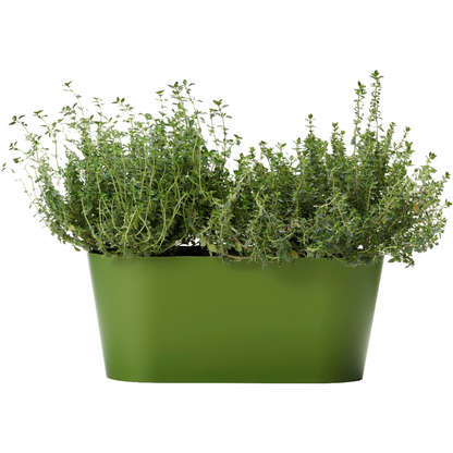 Clivo - Plant Box