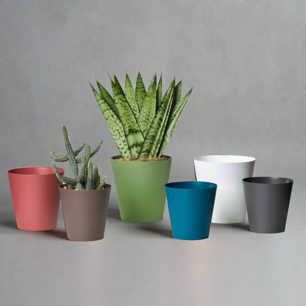 Clivo Planter