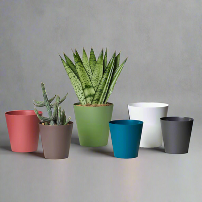 Clivo Planter