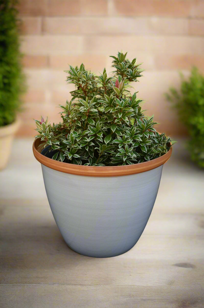 Honey Pot Planter