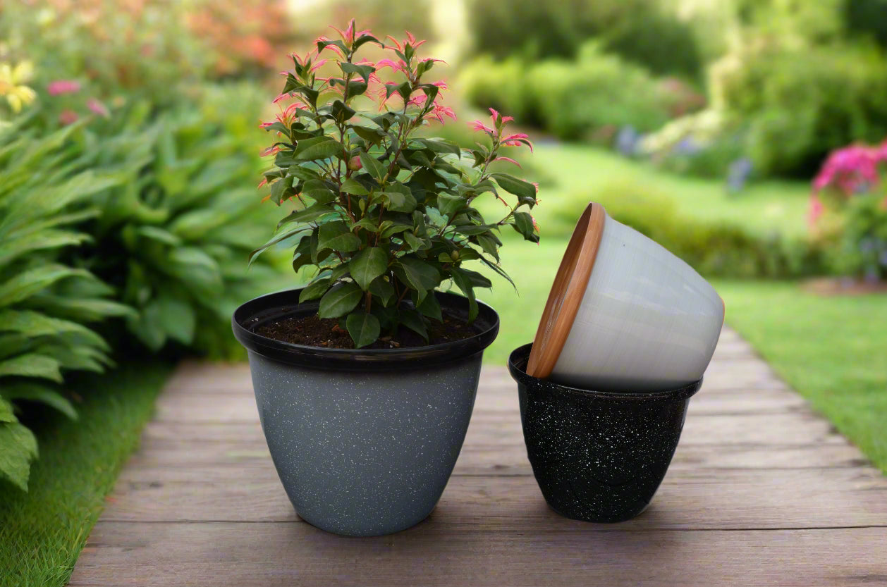 Honey Pot Planter