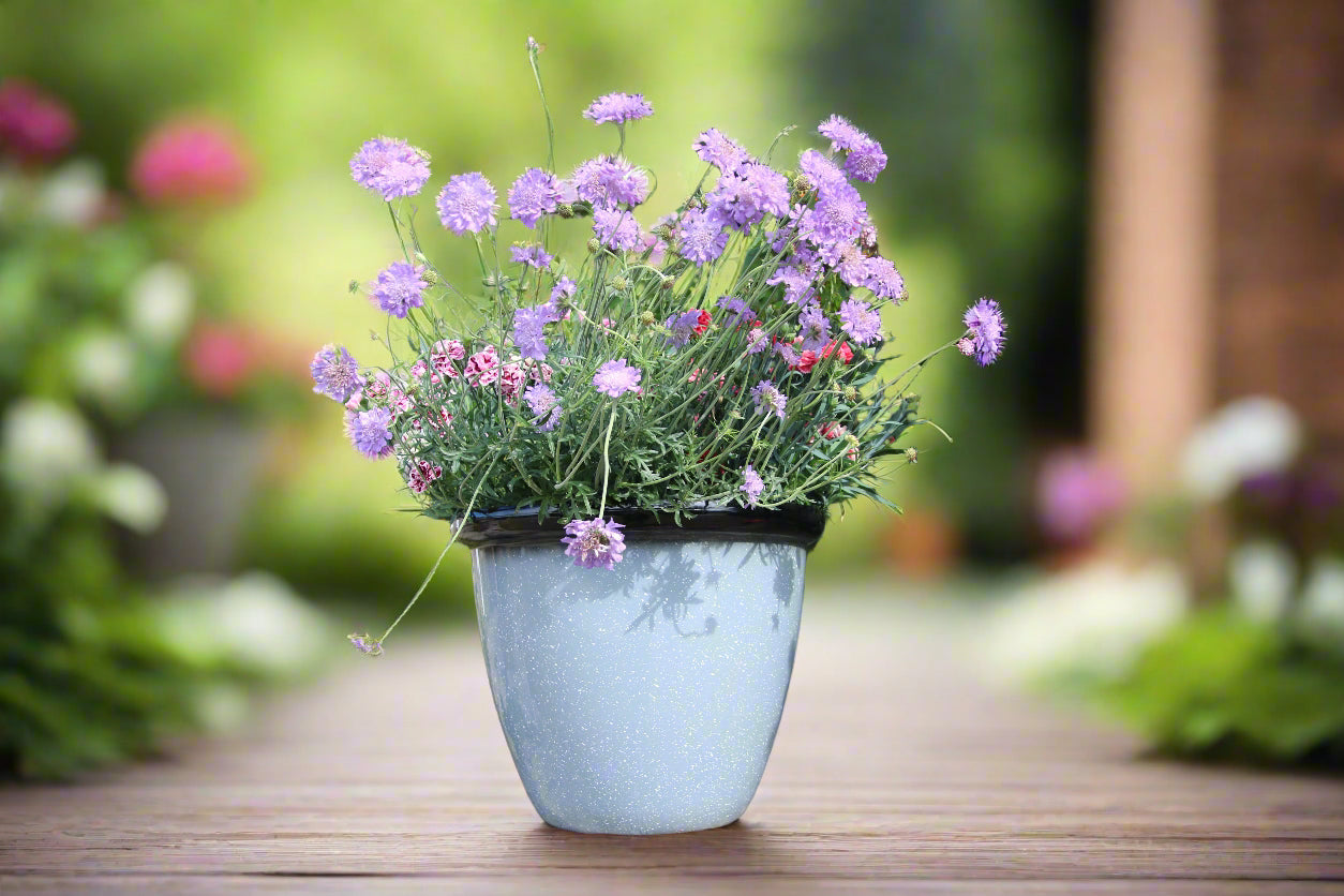 Honey Pot Planter