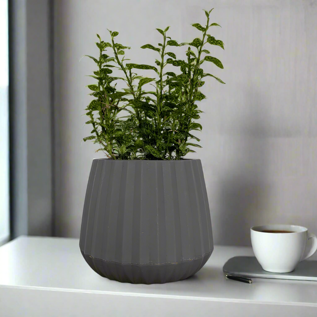 Groove Indoor Planter