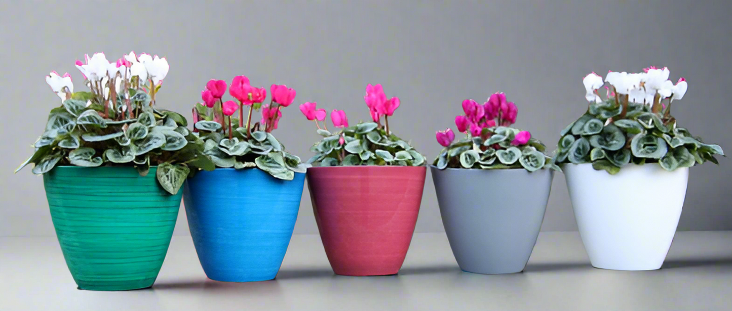 Savannah Planter