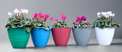 Savannah Planter
