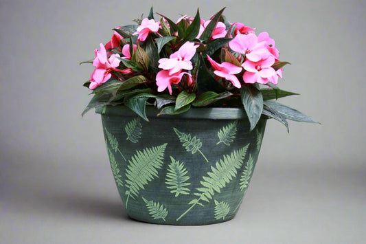 Fern