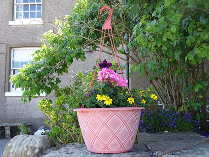 Bell Lattice Hanging Basket
