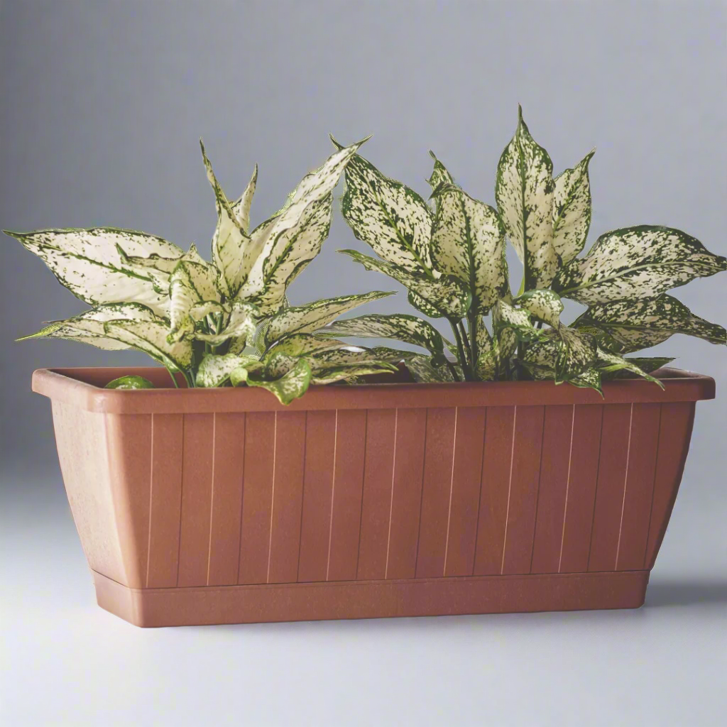 Kezar Plant Box
