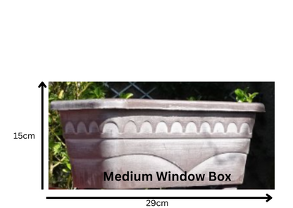 Window Box