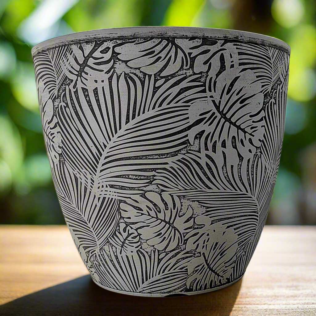 Monstera