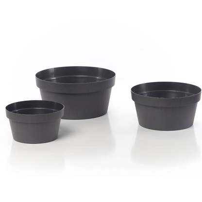 Rok - Bowl