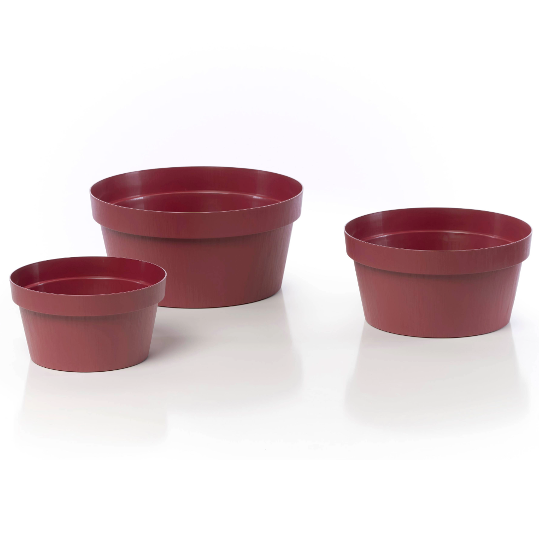 Rok - Bowl