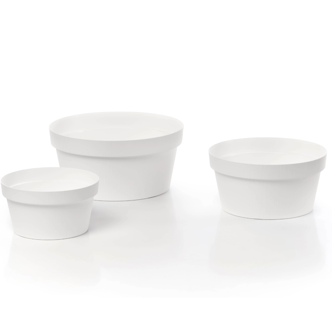 Rok - Bowl