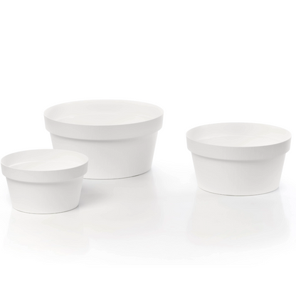Rok - Bowl
