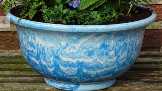 Aegean Bowl