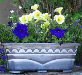 Window Box