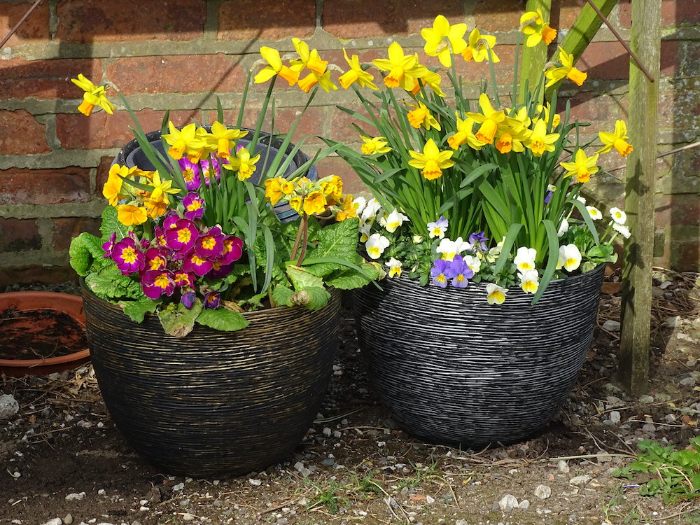 Spiral Planter