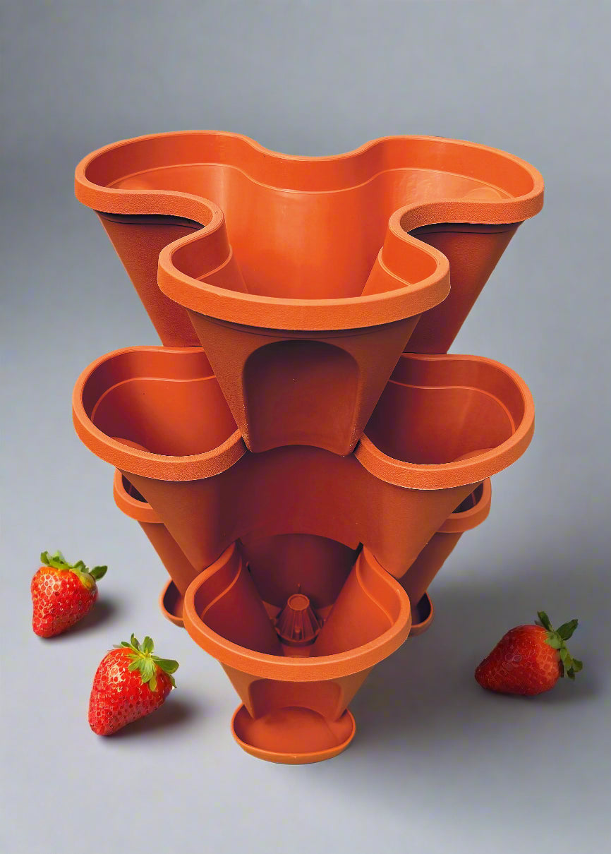 Strawberry Planter
