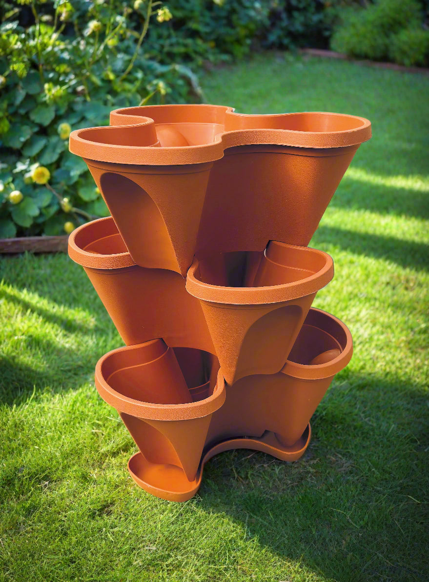 Strawberry Planter