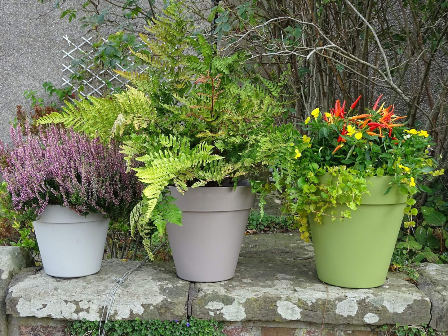 Trends Planter