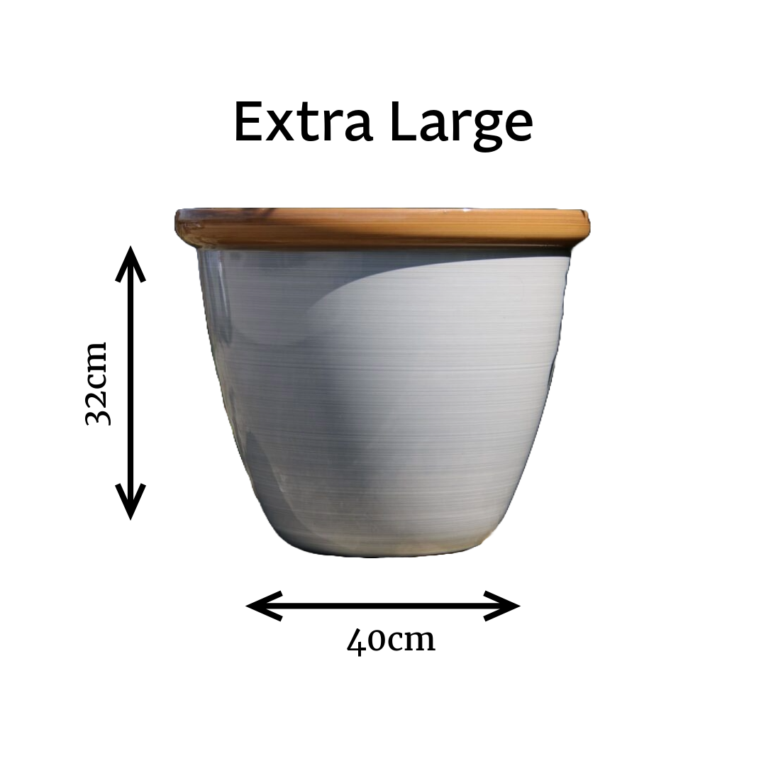 Honey Pot Planter