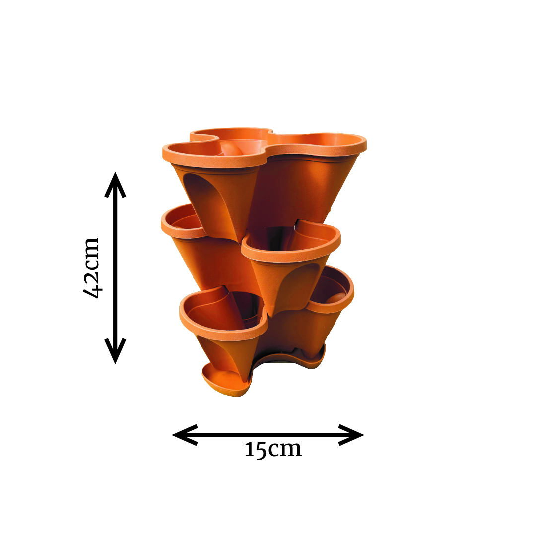 Strawberry Planter