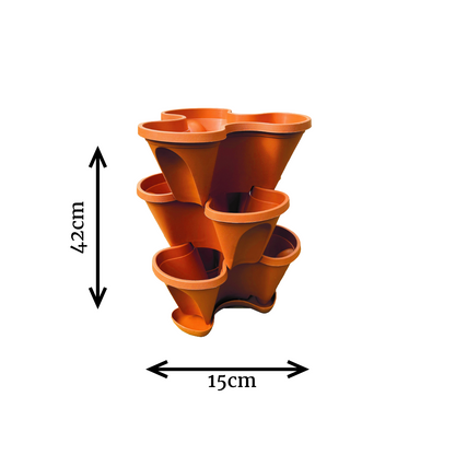 Strawberry Planter