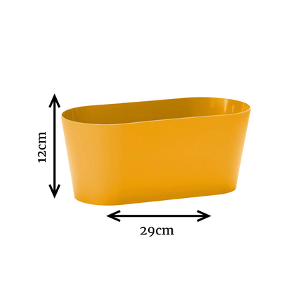 Clivo - Plant Box