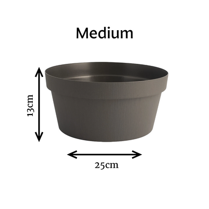 Rok - Bowl