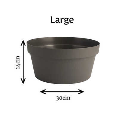 Rok - Bowl