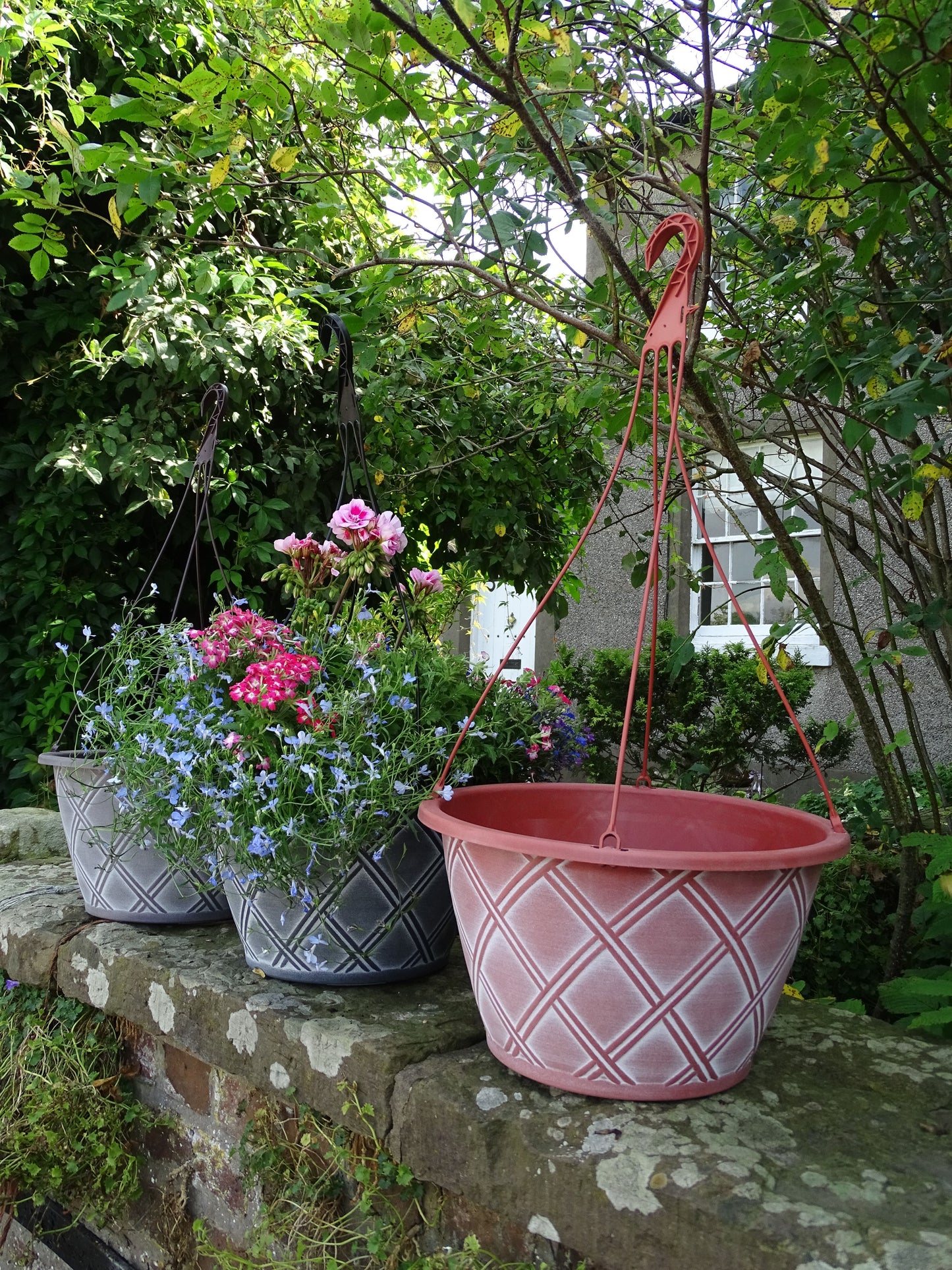 Bell Lattice Hanging Basket